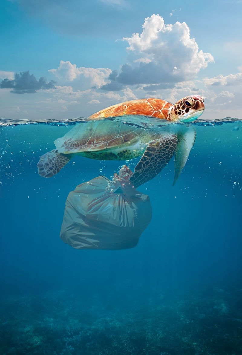 Wildlife Awareness