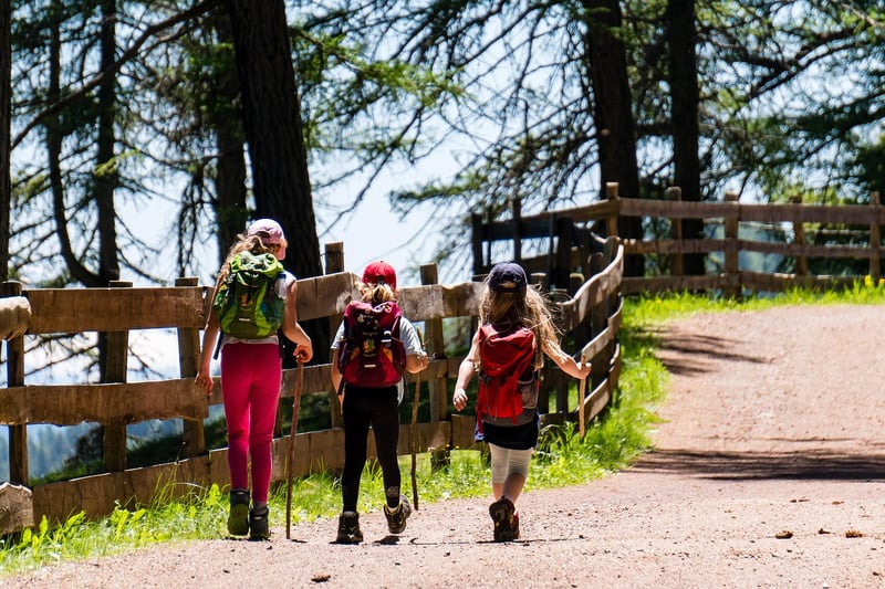 Fellow Adventurers